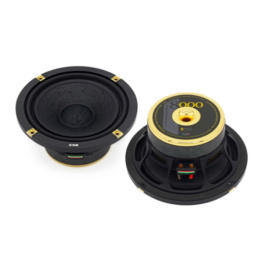 ESB AUDIO 8.165 6,5” / 165 mm Mid-Woofer Hi-End Car Audio Woofer (para)